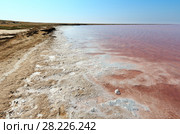 Pink salty Syvash Lake, Ukraine (2017 год). Стоковое фото, фотограф Юрий Брыкайло / Фотобанк Лори