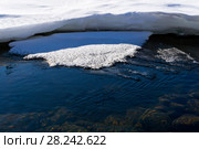 Spring thawed patch in the ice of the river on a sunny day. Стоковое фото, фотограф Евгений Харитонов / Фотобанк Лори