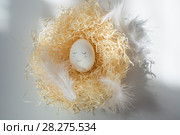 Easter. Стоковое фото, фотограф Дарья Богитова / Фотобанк Лори