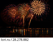 Celebratory bright firework. Стоковое фото, фотограф ElenArt / Фотобанк Лори