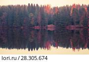 Autumn landscape with threes on coast. Стоковое фото, фотограф EugeneSergeev / Фотобанк Лори