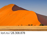 Sharp border of light and shadow over the crest of the dune at sunrise at Sossusvlei Namib Desert, Namib-Naukluft National Park of Namibia. Стоковое фото, агентство BE&W Photo / Фотобанк Лори