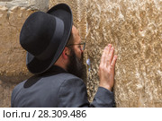 Orthodox Jewish man praying inside the synagogue at the Western Wall (Wailing Wall) in Jewish Quarter, Old City, Jerusalem, Israel. Стоковое фото, агентство BE&W Photo / Фотобанк Лори