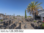 The ruins in the small town Capernaum on the coast of the lake of Galilee. According to the bible this is the place where Jesus lived, Israel. Стоковое фото, агентство BE&W Photo / Фотобанк Лори