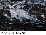 Translucent melting ice in spring on the sandy shore of the reservoir closeup. Стоковое фото, фотограф Евгений Харитонов / Фотобанк Лори