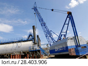 Россия, Тюменская область,   Уватский район;  Усть-Тегусское нефтяное месторождение; обустройство  месторождения,  кран ,трубы-сваи (2009 год). Редакционное фото, фотограф Александр Циликин / Фотобанк Лори