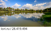 Облака отражаются в воде лесного озера летним днем (2015 год). Стоковое фото, фотограф Яна Королёва / Фотобанк Лори