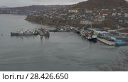 Рыболовные суда в морском порту Петропавловска-Камчатского (2018 год). Редакционное видео, видеограф А. А. Пирагис / Фотобанк Лори