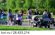 Moscow, Russia - May 15. 2018. Moms with strollers walk along boulevard in Zelenograd. Редакционное видео, видеограф Володина Ольга / Фотобанк Лори