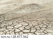 Background - dried cracked saline soil, dry clay sprinkled with sand. Стоковое фото, фотограф Евгений Харитонов / Фотобанк Лори
