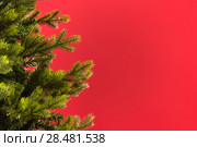 Christmas tree on red background. Стоковое фото, агентство Ingram Publishing / Фотобанк Лори