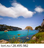 Cala Macarella Ciudadela Menorca turquoise Mediterranean sea in Balearic islands. Стоковое фото, фотограф Tono Balaguer / Ingram Publishing / Фотобанк Лори