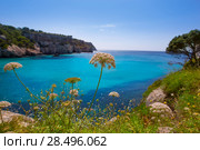 Cala Macarella Ciudadela Menorca turquoise Mediterranean sea in Balearic islands. Стоковое фото, фотограф Tono Balaguer / Ingram Publishing / Фотобанк Лори