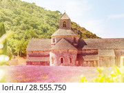 Notre Dame de Senanque, Provence (2017 год). Стоковое фото, фотограф Сергей Новиков / Фотобанк Лори