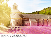 Sunny day in Provence Senanque abbey (2017 год). Стоковое фото, фотограф Сергей Новиков / Фотобанк Лори
