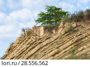 Остатки разрушенного здания на вершине скалы. Стоковое фото, фотограф Иванов Алексей / Фотобанк Лори