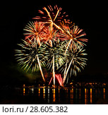 Celebratory firework in a night sky. Стоковое фото, фотограф ElenArt / Фотобанк Лори