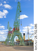 Портовые краны на причале солнечным июньским днем. Морской центр "Велламо". Котка, Финляндия (2017 год). Стоковое фото, фотограф Виктор Карасев / Фотобанк Лори