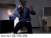 Burglar thief stealing tv from apartment house. Стоковое фото, фотограф Elnur / Фотобанк Лори
