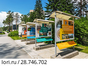 Новосибирский государственный университет (НГУ), аллея с фотографиями и информацией у Главного корпуса. Новосибирский Академгородок, Новосибирск, Западная Сибирь, Россия (2018 год). Редакционное фото, фотограф Евгений Мухортов / Фотобанк Лори
