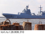 Большой десантный корабль "Иван Грен" в акватории Кронштадта (2018 год). Редакционное фото, фотограф Роман Рожков / Фотобанк Лори