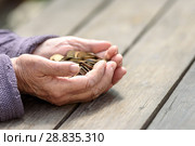 Money, coins, the grandmother on pension and the concept of life, minimum - hands of the old woman to hold a handful of coins on a wooden table. Стоковое фото, фотограф Анна Никонорова / Фотобанк Лори