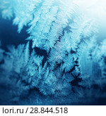 Frosty pattern on winter window. Стоковое фото, фотограф ElenArt / Фотобанк Лори