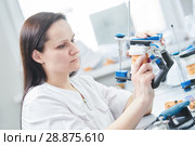 dental technician or female prosthesis worker. prosthetic dentistry process. Стоковое фото, фотограф Дмитрий Калиновский / Фотобанк Лори