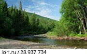 Река Коярд (приток реки Ус) у парка Ергаки в Саянах / Forest on the bank of river Koyard in Siberia (2018 год). Редакционное видео, видеограф Сергей Пристяжнюк (Serg Zastavkin) / Фотобанк Лори