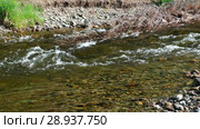 Река Коярд (приток реки Ус) у парка Ергаки в Саянах / Stones and pebbles under the transparent water on the bottom of river (2018 год). Редакционное видео, видеограф Сергей Пристяжнюк (Serg Zastavkin) / Фотобанк Лори