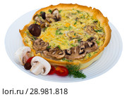 Delicious french kish cooked with cheese and mushrooms. Стоковое фото, фотограф Яков Филимонов / Фотобанк Лори