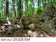 Path to mount Boyka. Стоковое фото, фотограф Staryh Luiba / Фотобанк Лори