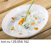 National Macedonian and Bulgarian dish Tarator. Стоковое фото, фотограф Яков Филимонов / Фотобанк Лори