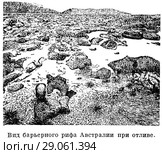 Вид барьерного рифа Австралии при отливе. Коралловые острова. Стоковая иллюстрация, иллюстратор Макаров Алексей / Фотобанк Лори