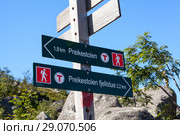 Таблички с указанием направления к утесу Прекестулен (Preikestolen) и к туристической парковке. Норвегия (2018 год). Редакционное фото, фотограф Кекяляйнен Андрей / Фотобанк Лори