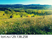 Picturesque lawns of Karpaty (2017 год). Стоковое фото, фотограф Яков Филимонов / Фотобанк Лори