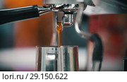 Espresso pouring from coffee machine. Middle roasted. Стоковое видео, видеограф Константин Шишкин / Фотобанк Лори