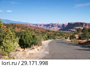 The road among the juniper in  Capitol Reef National Park, Utah, USA (2014 год). Стоковое фото, фотограф Ирина Кожемякина / Фотобанк Лори