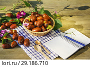 Плоды унаби (зизифус настоящий, китайский финик, чапыжник, жужуба, лат. Ziziphus jujuba) на столе в лучах осеннего солнца. Стоковое фото, фотограф Наталья Гармашева / Фотобанк Лори