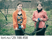 women inarching branch to tree. Стоковое фото, фотограф Яков Филимонов / Фотобанк Лори