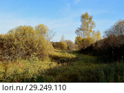 Женщина несущая воду. Стоковое фото, фотограф Игорь Камаев / Фотобанк Лори