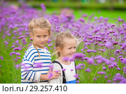 Little adorable girls walking outdoors with flowers. Стоковое фото, фотограф Дмитрий Травников / Фотобанк Лори