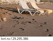 Шезлонги и следы ног на мокром песке у моря. Стоковое фото, фотограф Наталья Николаева / Фотобанк Лори
