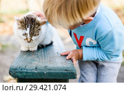 Маленький мальчик на улице гладит кошку (2018 год). Редакционное фото, фотограф Игорь Низов / Фотобанк Лори