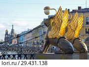 Санкт-Петербург. Грифоны Банковского моста (2016 год). Редакционное фото, фотограф Александр Алексеев / Фотобанк Лори