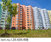 Новые многоэтажные жилые дома, улица Шишкова города Воронеж (2018 год). Редакционное фото, фотограф Вячеслав Палес / Фотобанк Лори