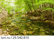 Mountain river Ulu-Uzen East or Megapotamo on the southern coast of the Crimea in the gorge Khaphal, Russia. Стоковое фото, фотограф Владимир Пойлов / Фотобанк Лори