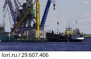Город Сургут. Речной порт. Surgut sity. River port. (2015 год). Стоковое видео, видеограф Евгений Романов / Фотобанк Лори