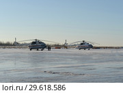 Вертолёты МИ-8 МЧС России на аэродроме Мячково (2016 год). Редакционное фото, фотограф Free Wind / Фотобанк Лори