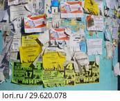 Тумба с объявлениями на улице (2015 год). Редакционное фото, фотограф lana1501 / Фотобанк Лори
